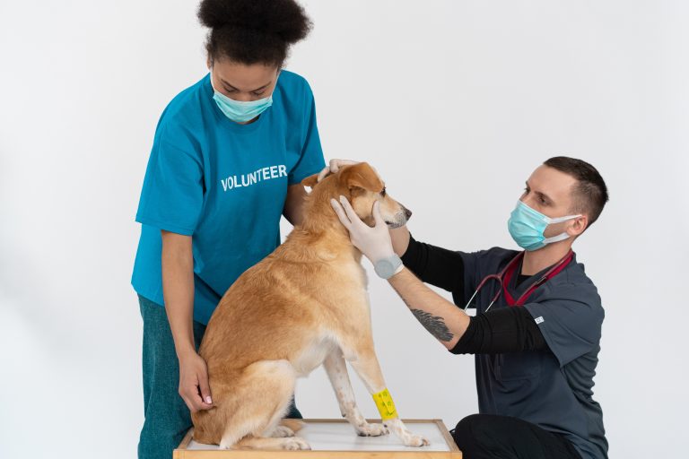 Emergency Care for Exotic Pets: What Every Pet Owner Should Know