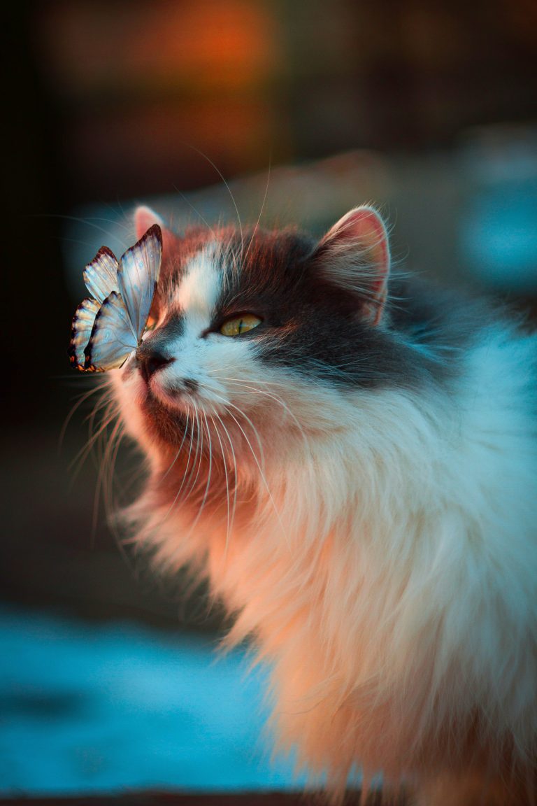 What Causes Bad Breath in Pets and How to Eliminate It for Good