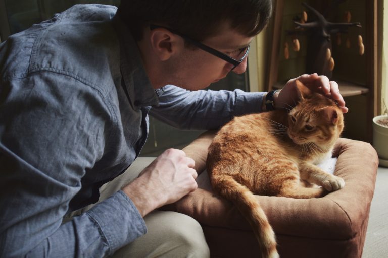 Pet Boarding Preparation: Tips for a Stress-Free Experience
